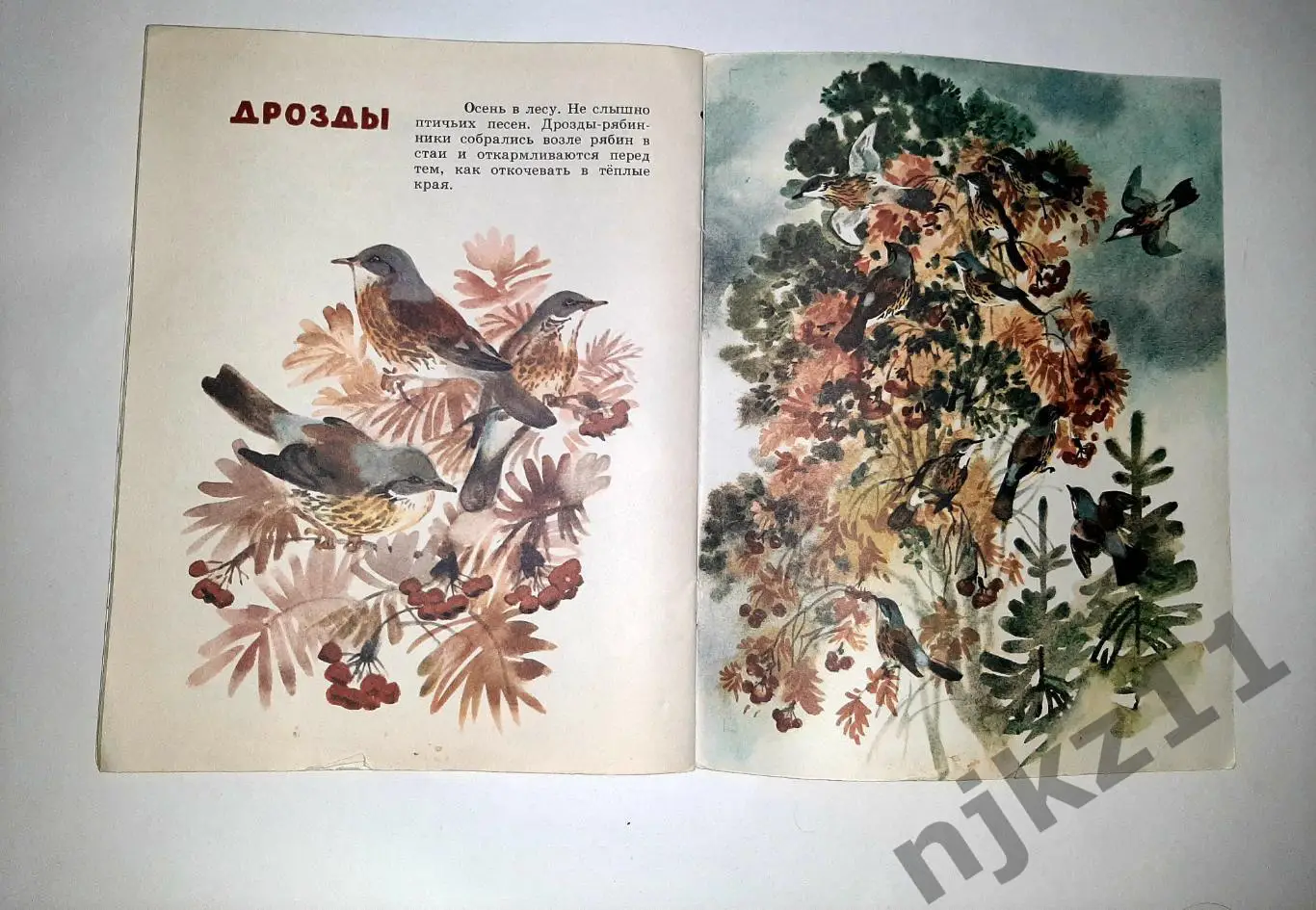 Снегирёв Г. Про птиц. Худ. Т. Капустина увел. формат 4