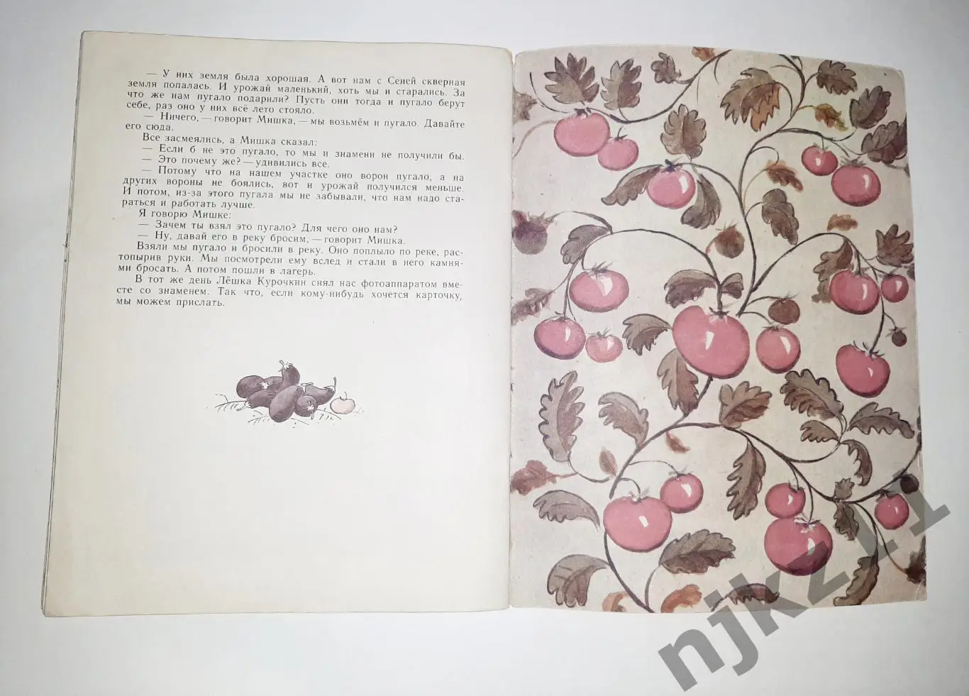 ОГОРОДНИКИ Н. Носов 1978 год увел. формат 3