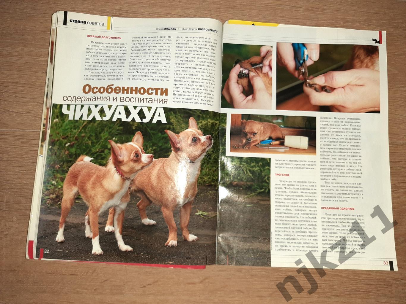 Друг Собак 3 выпуска за 2006г группа Рондо, заметки Дмитрия Крылова, Чихуа-хуа, 7
