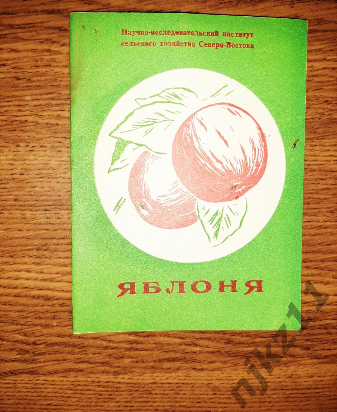 Яблоня НИИ сельского хозяйства г. Киров 1974г