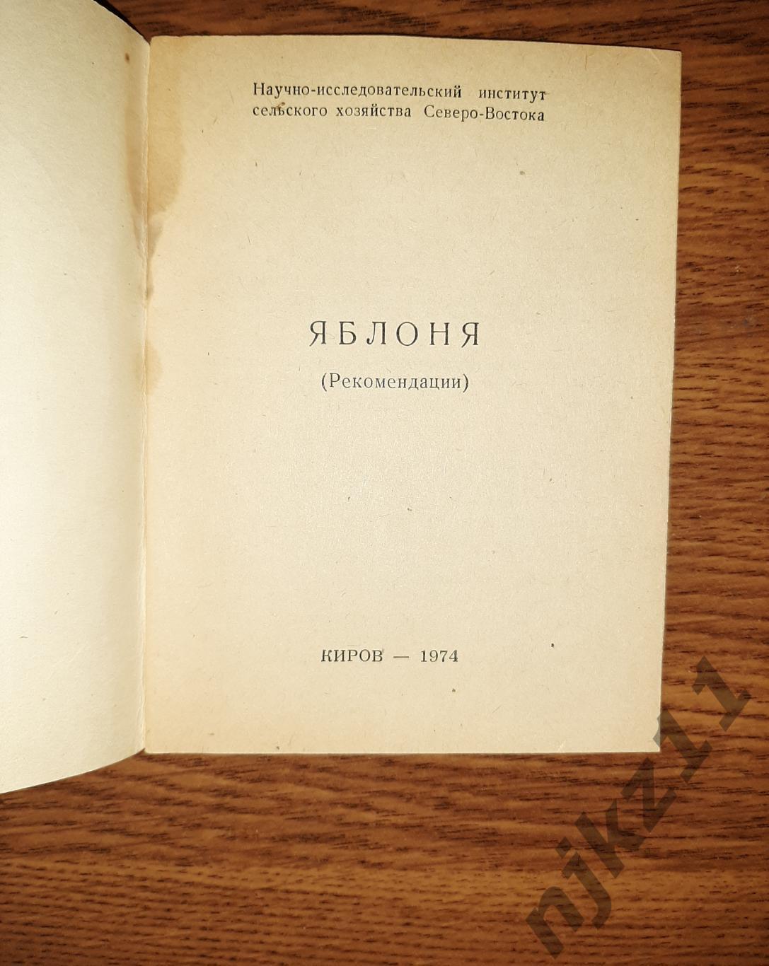 Яблоня НИИ сельского хозяйства г. Киров 1974г 1