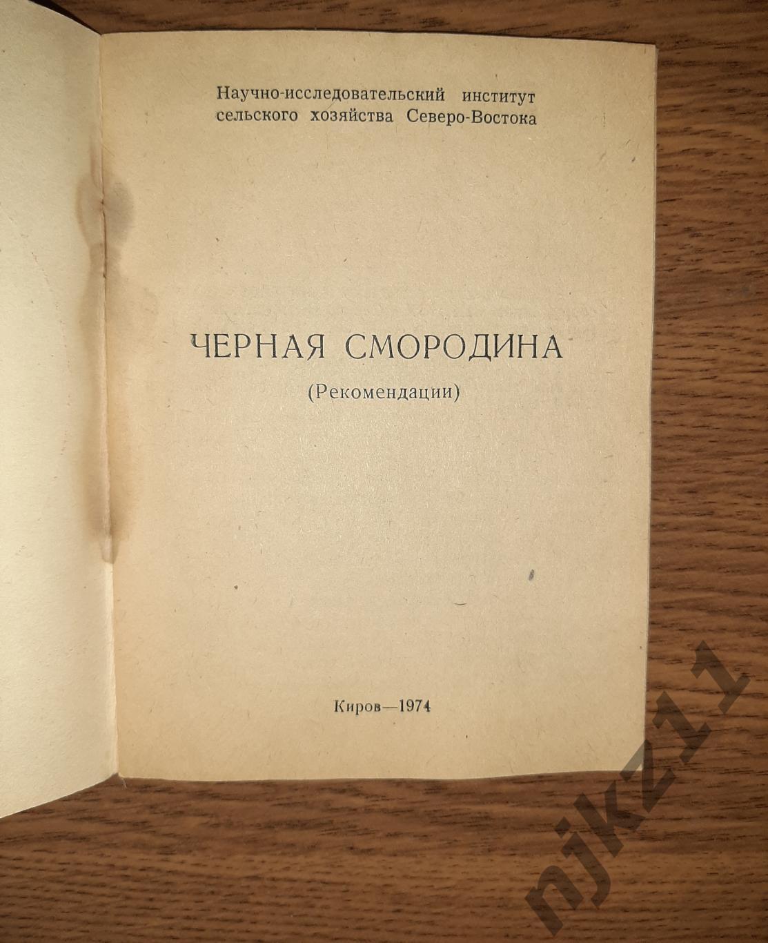 НИИ сельского хозяйства редкость Черная смородина 1974г Киров 1