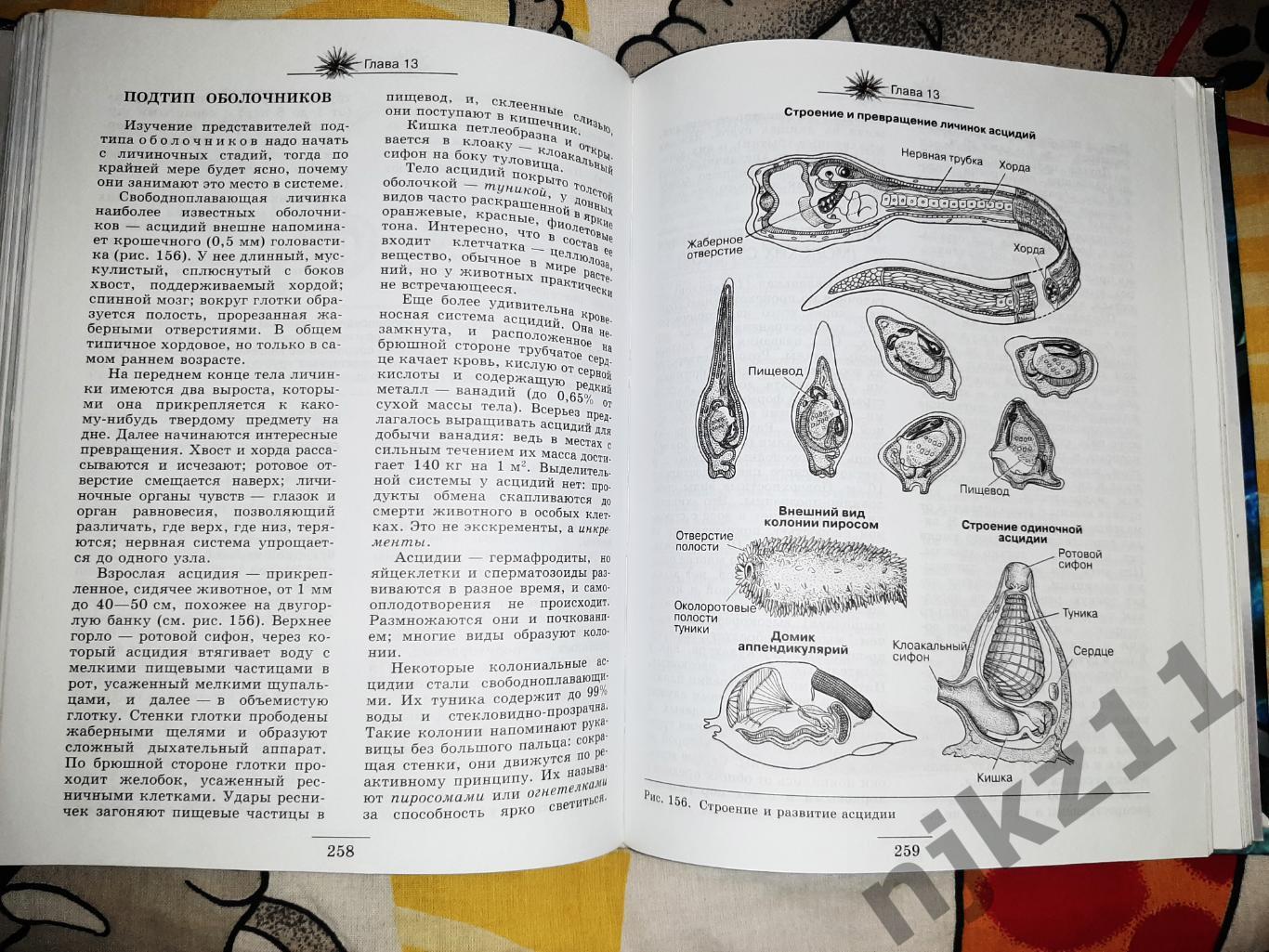 Медников, Б.М. Биология: формы и уровни жизни 5