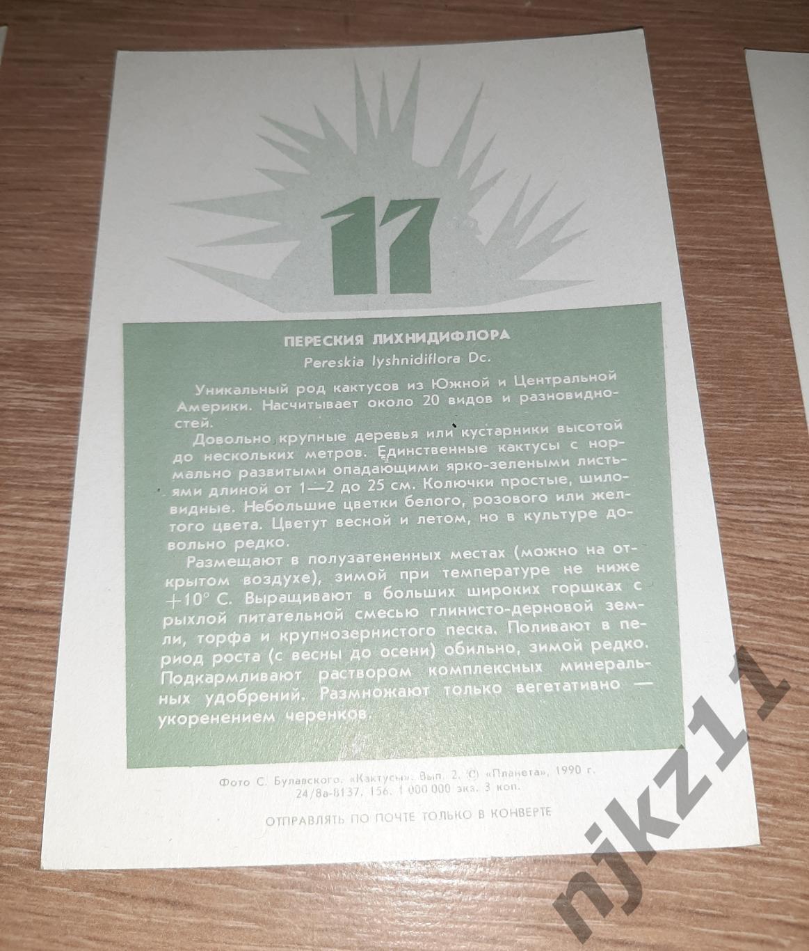 Кактусы. Выпуск 2. Набор 18 открыток. 1990 год ПОЛНЫЙ КОМПЛЕКТ 18 ШТУК 6