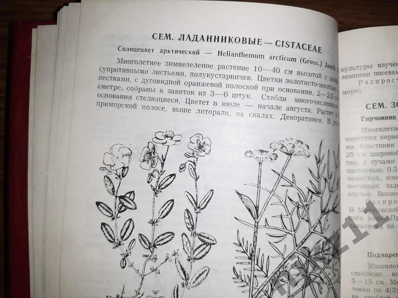 Редкие и нуждающиеся в охране растения и животные Мурманск 1979г РЕДКОСТЬ 4