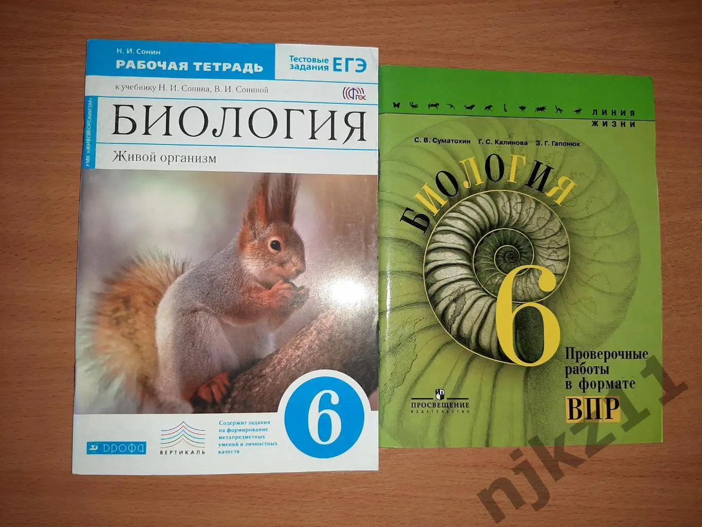 Биология 6 класс две рабочие тетради чистые