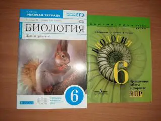 Биология 6 класс две рабочие тетради чистые