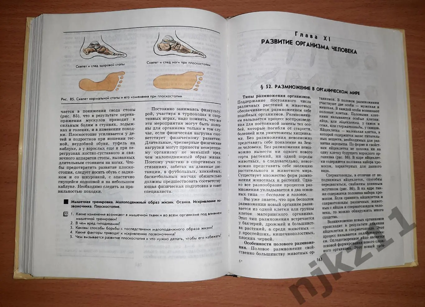 Биология. Человек. 9 класс 5