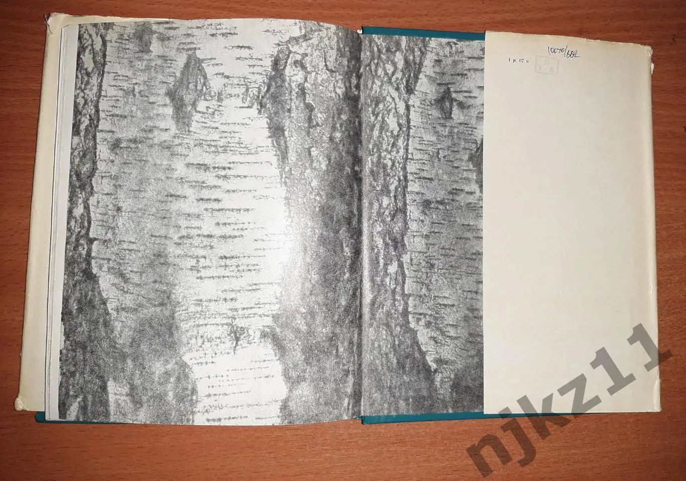 Людмила Зыкина. Песня. 1975 год 7