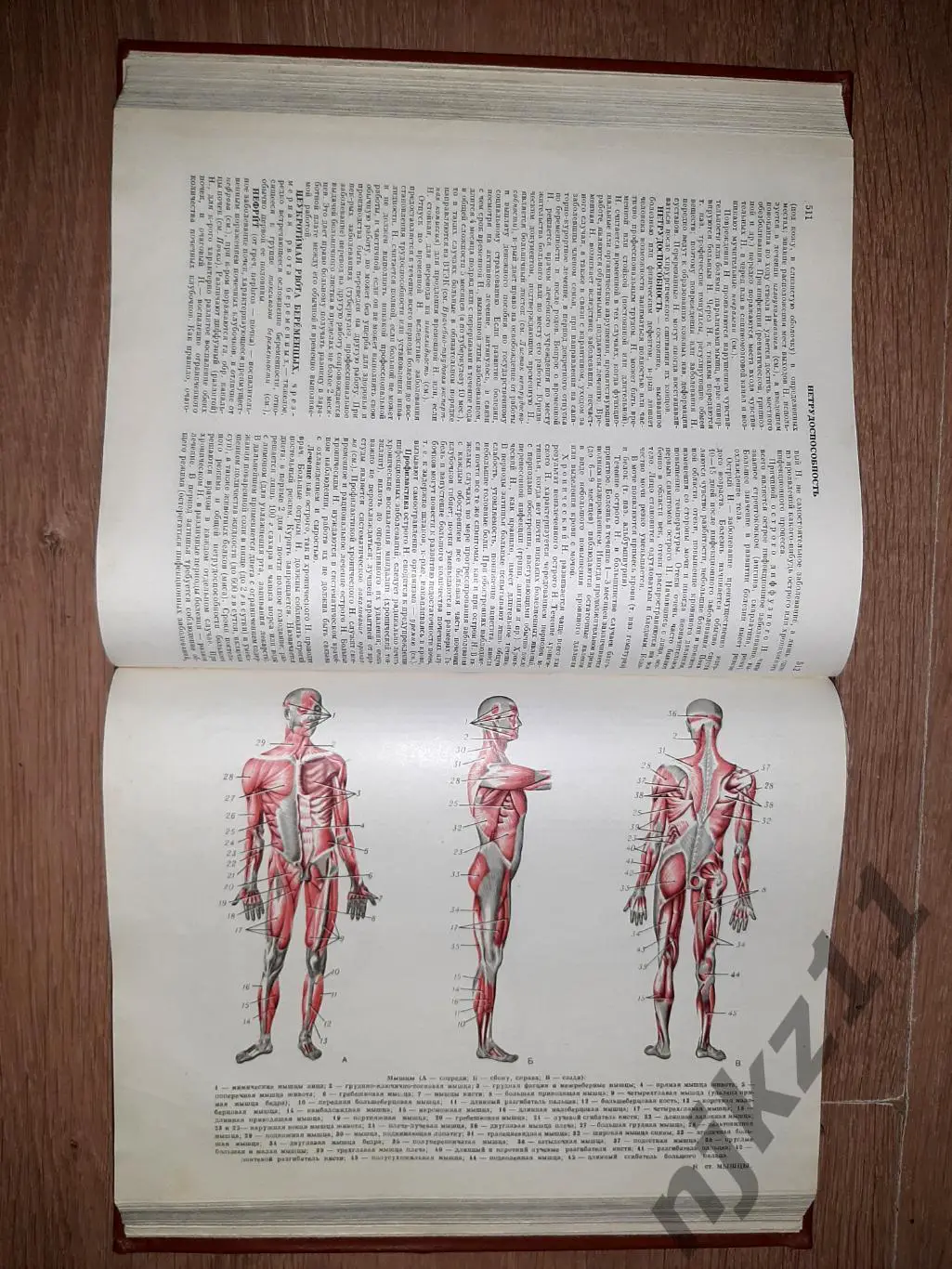 Популярная медицинская энциклопедия 1969г 5