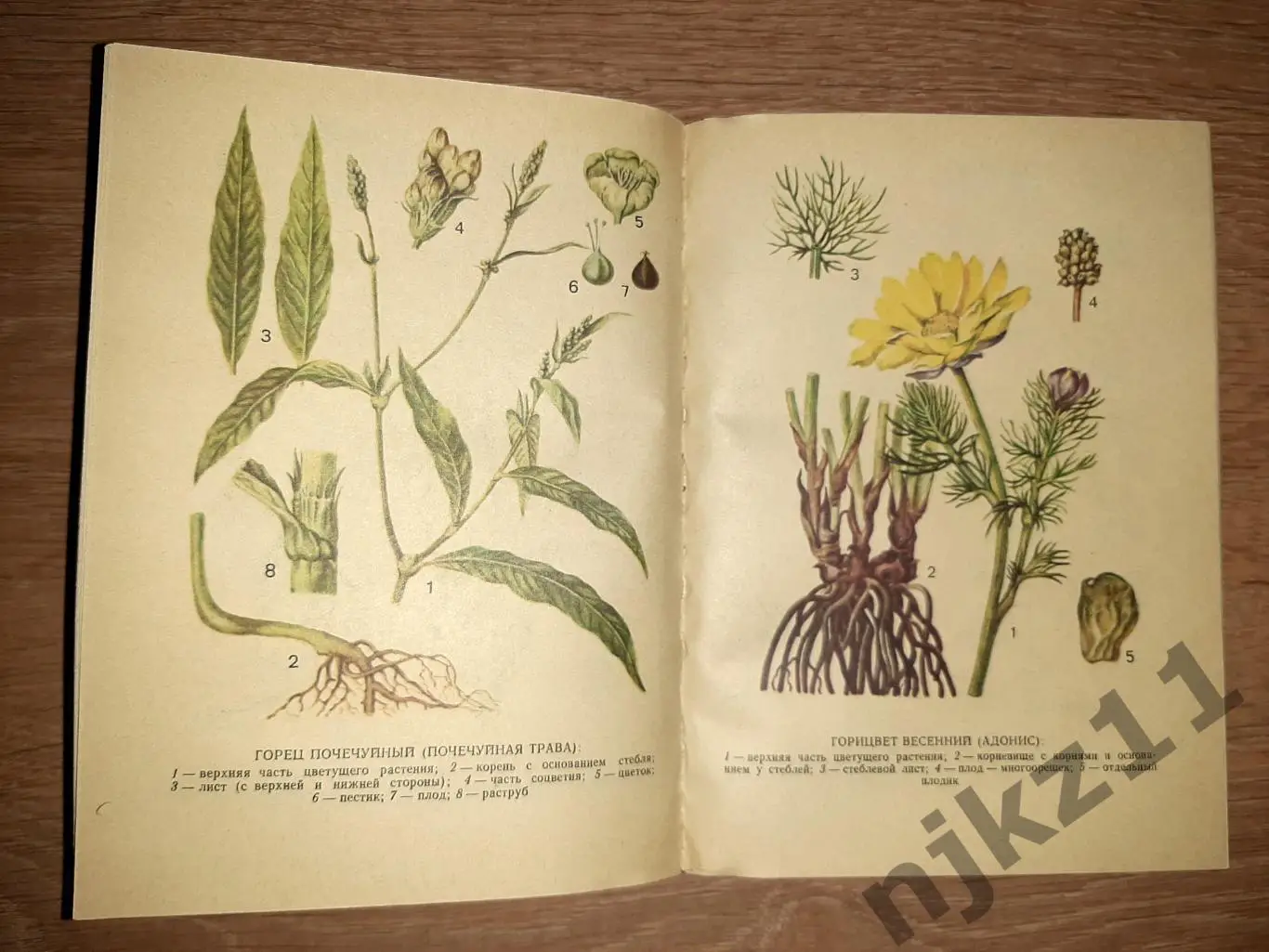 Книга. Лекарственные Растения 1981 г. К.К. Полуяхтов 3