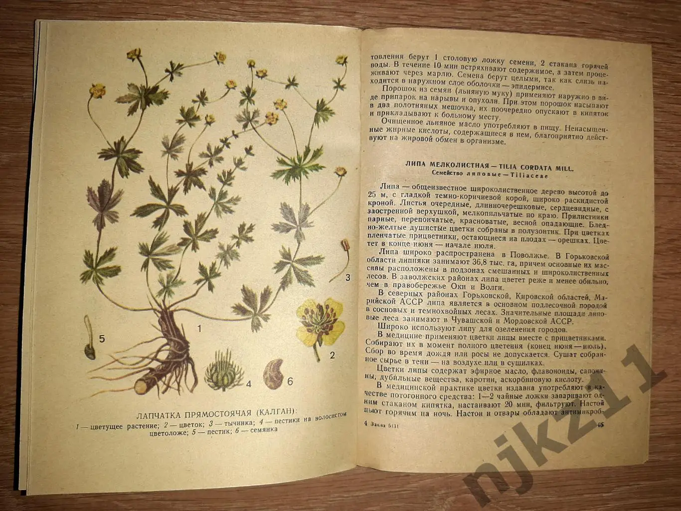 Книга. Лекарственные Растения 1981 г. К.К. Полуяхтов 4