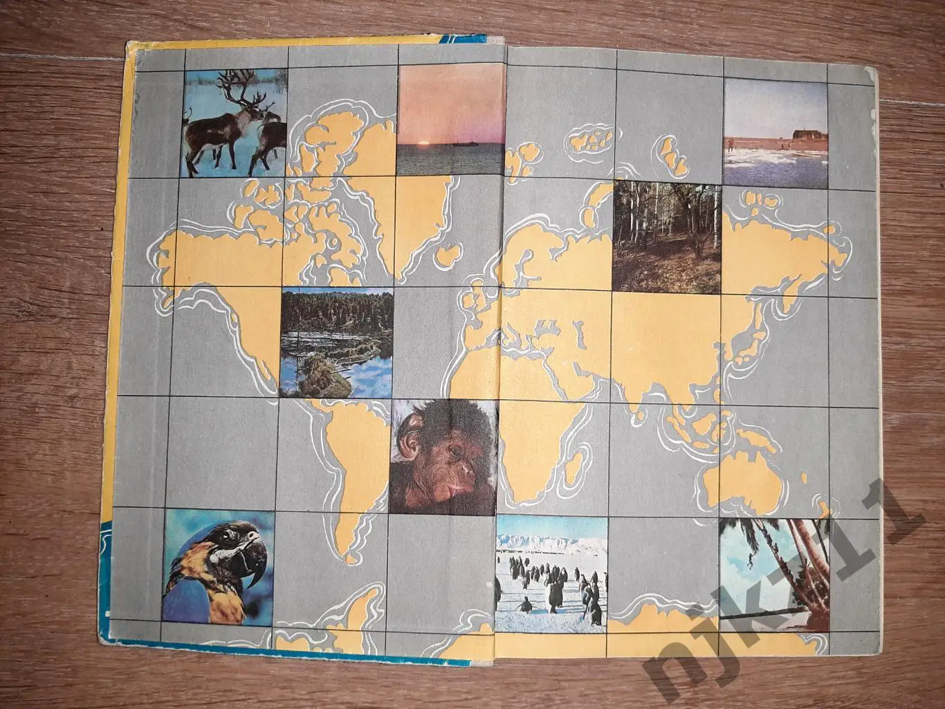 По материкам и странам (Африка, Австралия и Океания, Антарктида). 1