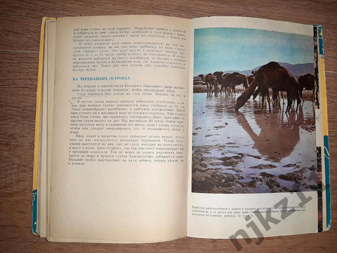 По материкам и странам (Африка, Австралия и Океания, Антарктида). 6