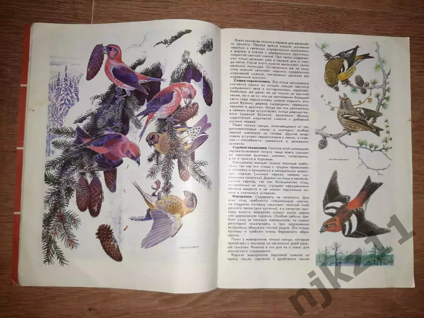 Гусев, В.Г. Наши питомцы 1987г 2