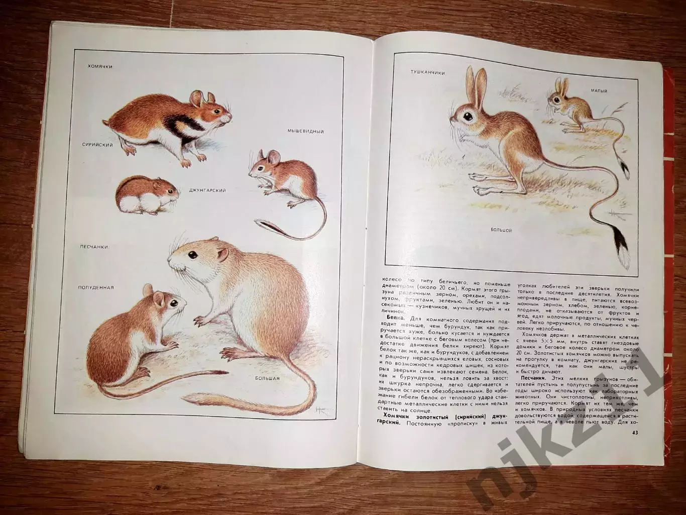 Гусев, В.Г. Наши питомцы 1987г 3