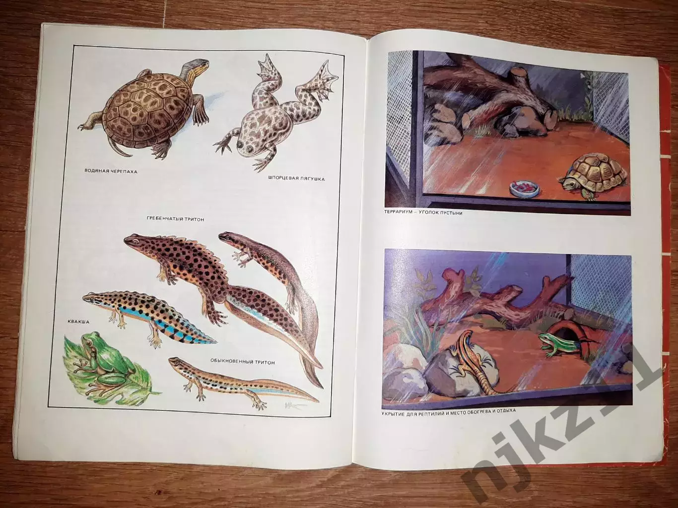 Гусев, В.Г. Наши питомцы 1987г 4