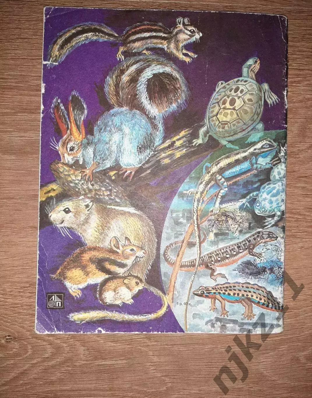 Гусев, В.Г. Наши питомцы 1987г 6