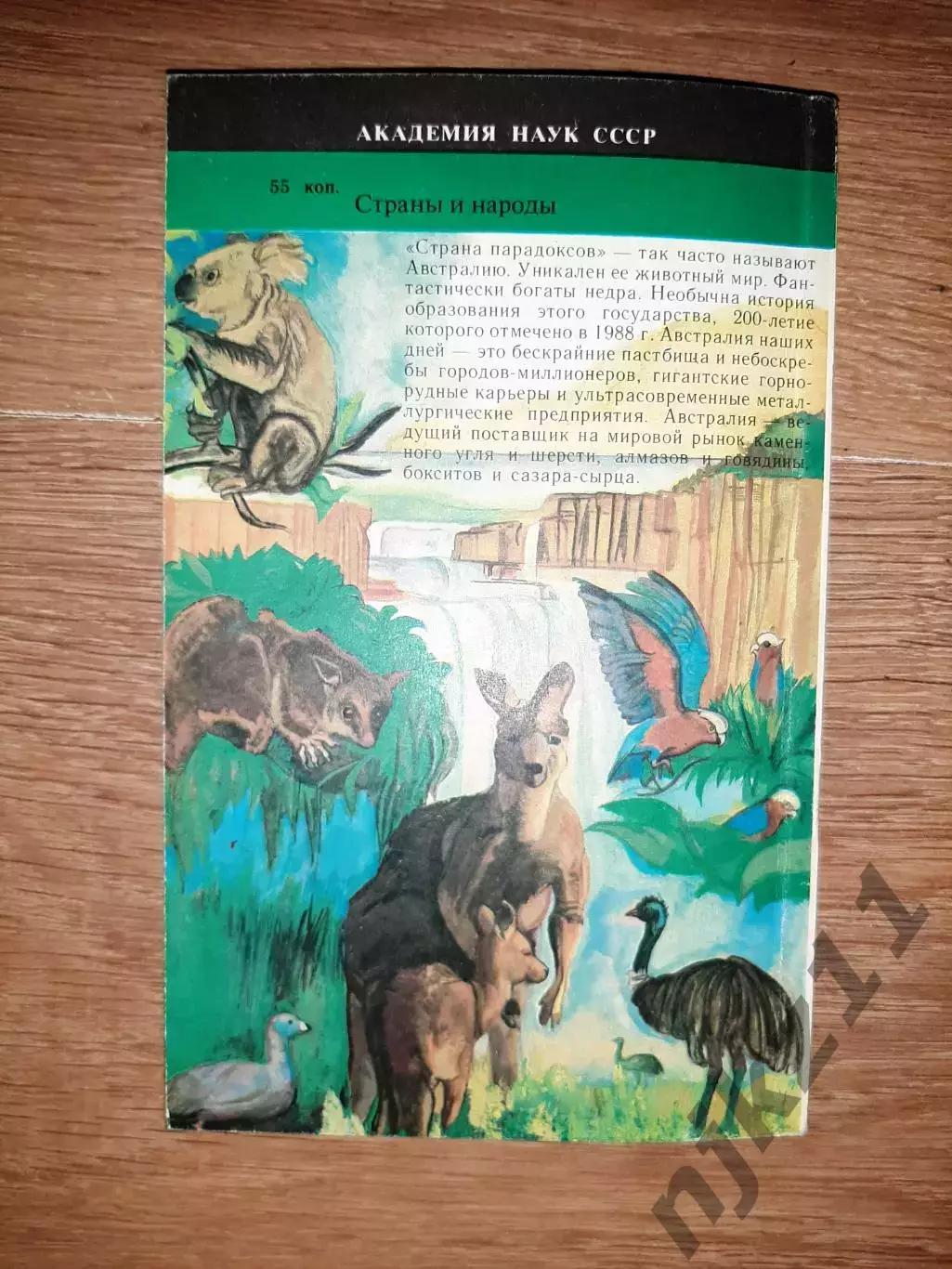 Рубцов, Б.Б. Австралия - государство и континент 7