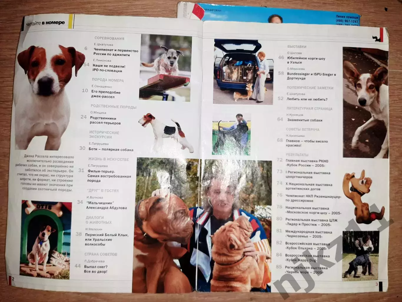 Друг Собак 4 выпуска за 2006г группа Рондо, заметки Дмитрия Крылова, Чихуа-хуа, 3