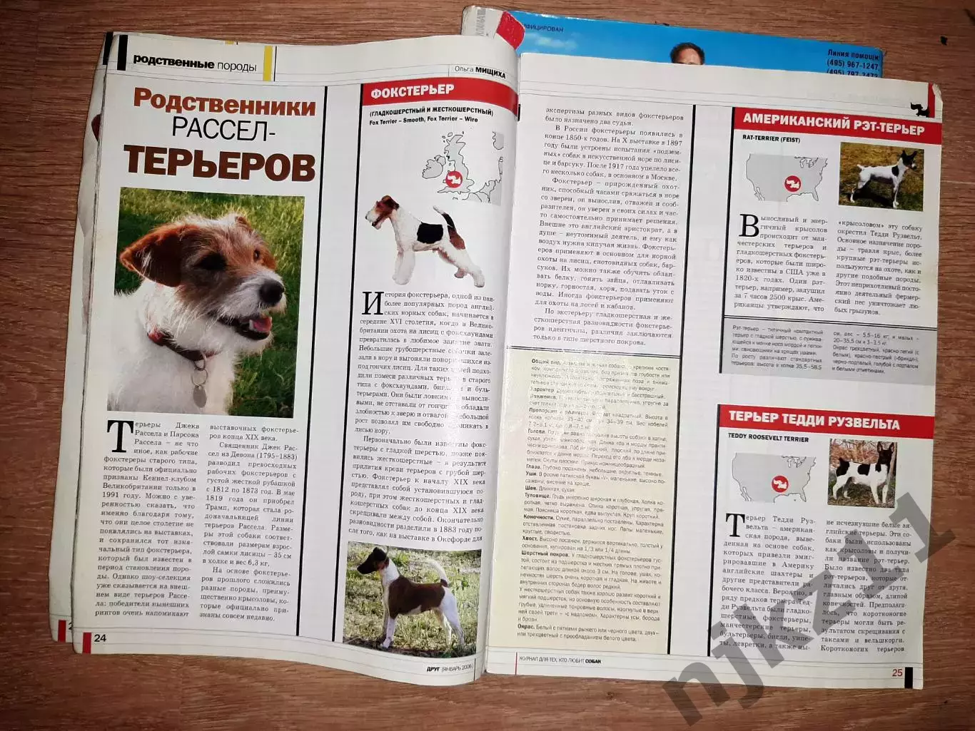 Друг Собак 4 выпуска за 2006г группа Рондо, заметки Дмитрия Крылова, Чихуа-хуа, 4