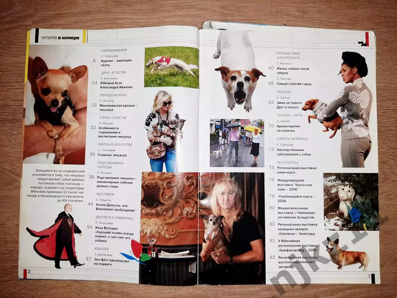 Друг Собак 4 выпуска за 2006г группа Рондо, заметки Дмитрия Крылова, Чихуа-хуа, 5