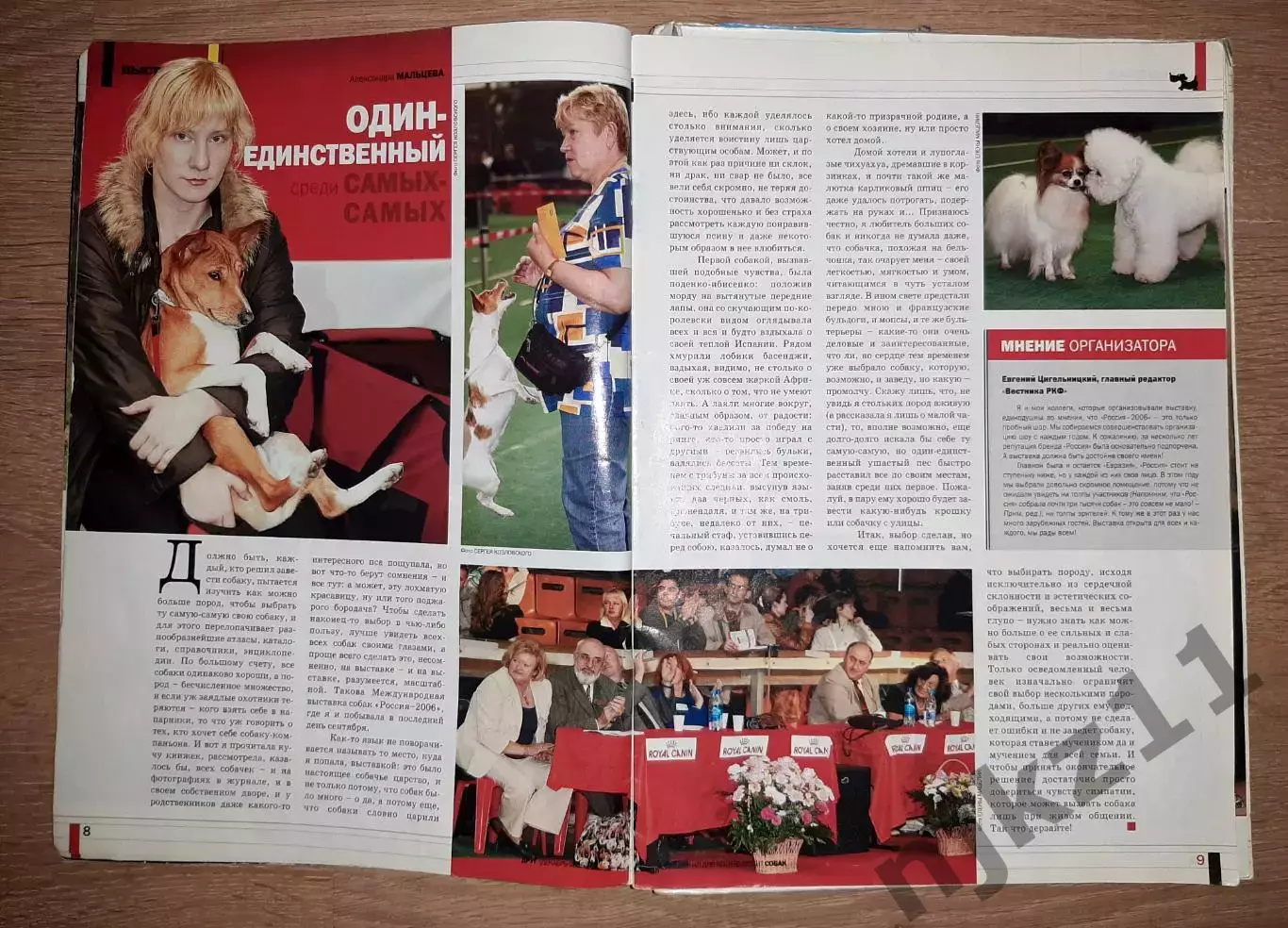 Друг Собак 4 выпуска за 2006г группа Рондо, заметки Дмитрия Крылова, Чихуа-хуа, 7