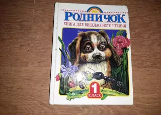 Книга для внеклассного чтения в 1 классе. Родничок
