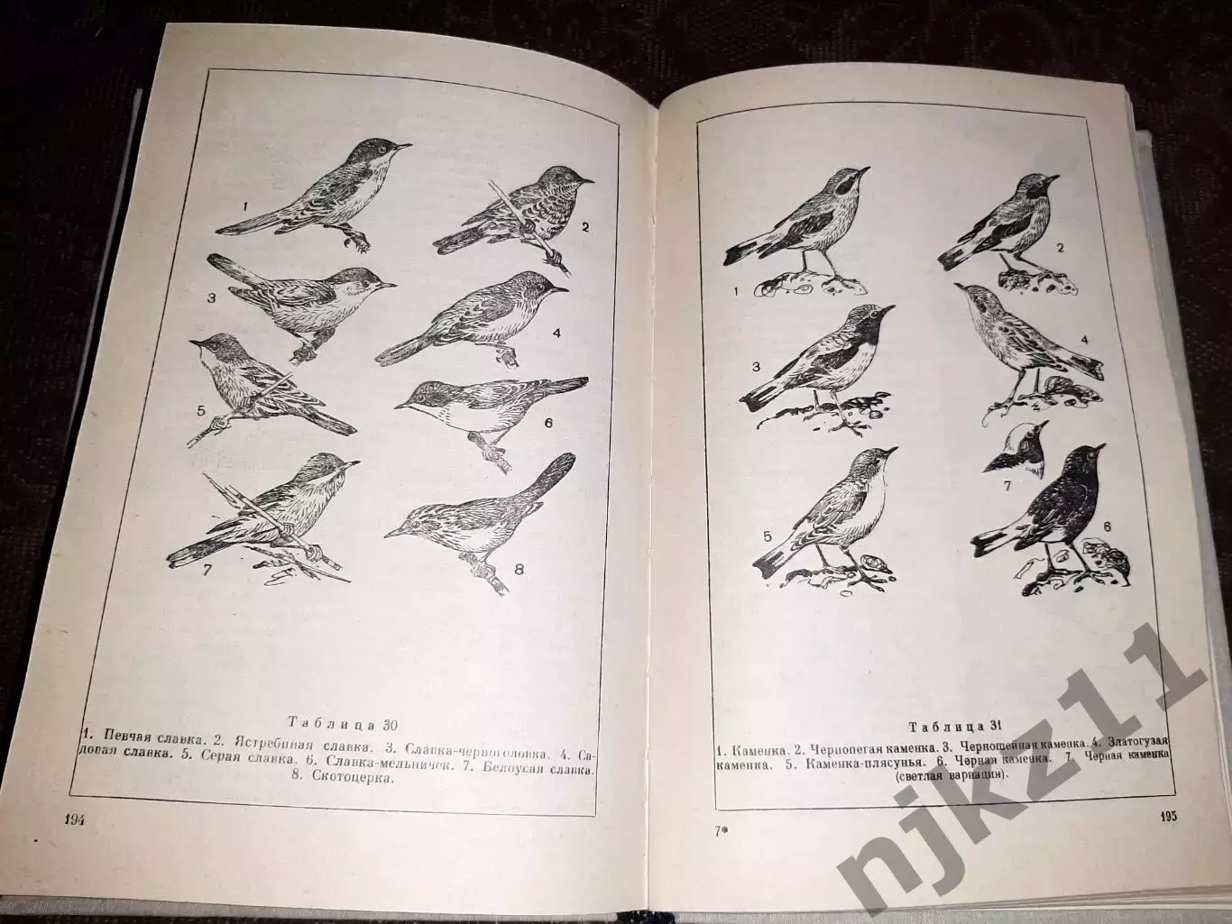 Беме Р.Л., Кузнецов А.А. Птицы лесов и гор СССР. Полевой определитель. 1981 4