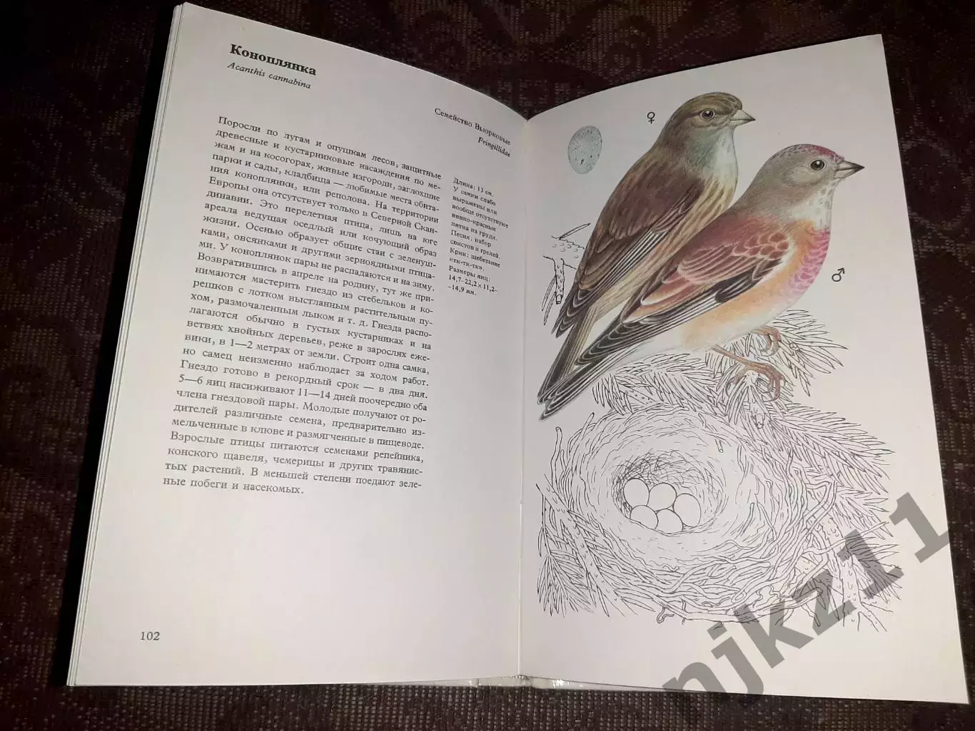 Птицы садов, парков и полей. Феликс Иржи. 1980 2