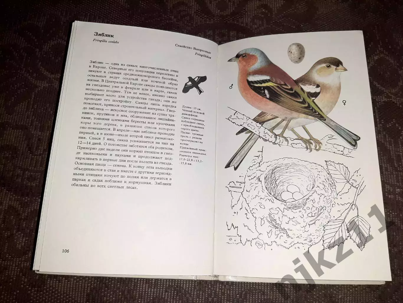 Птицы садов, парков и полей. Феликс Иржи. 1980 3