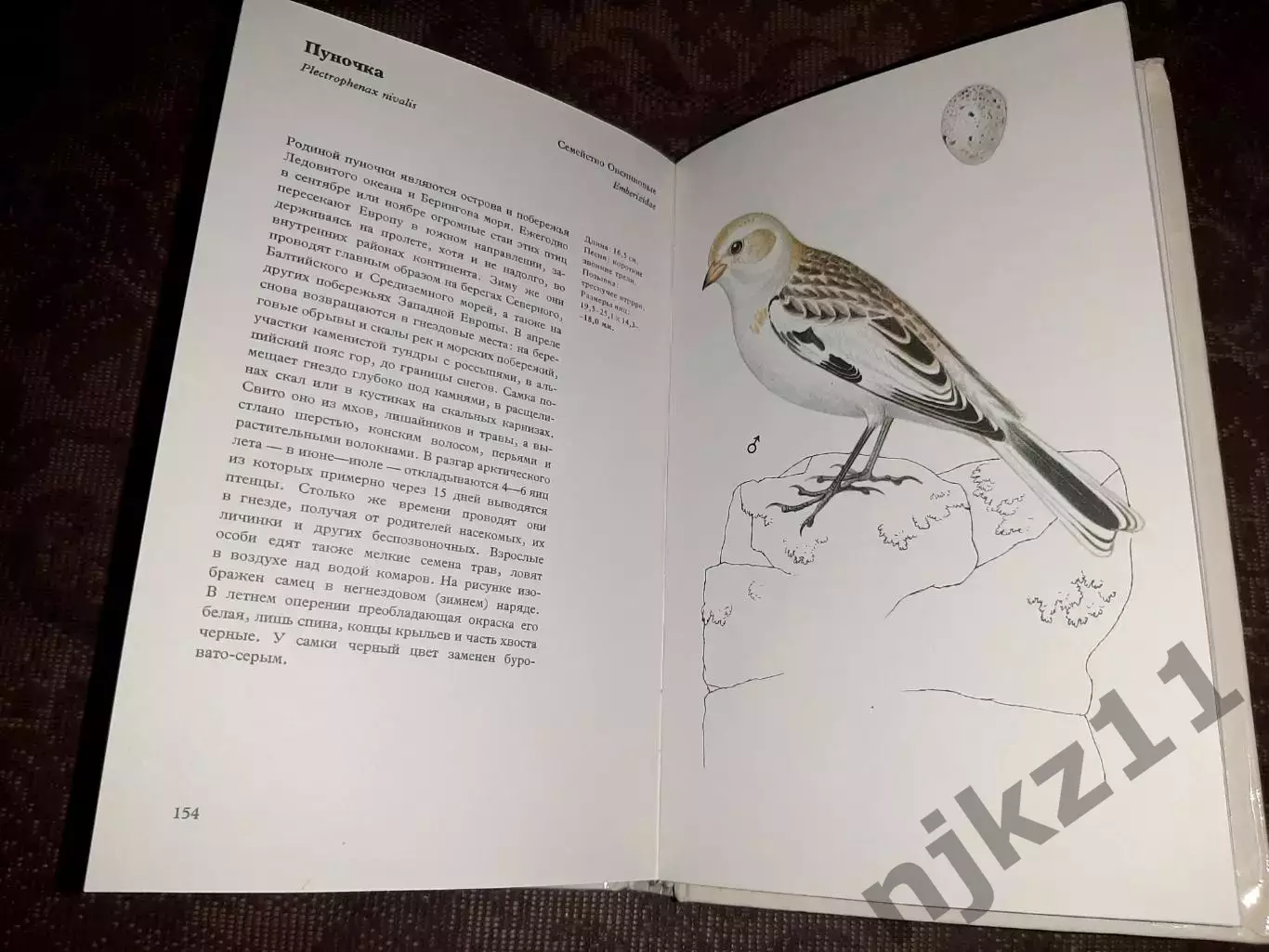 Птицы садов, парков и полей. Феликс Иржи. 1980 4