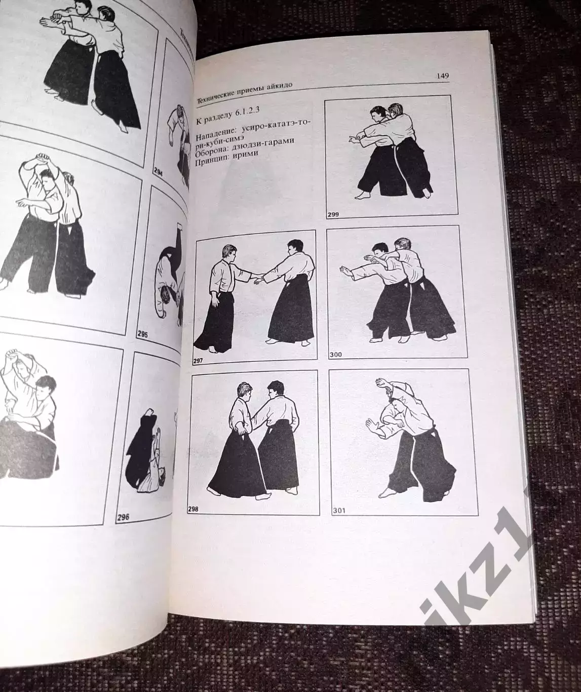 Р. Бранд. Айкидо 4