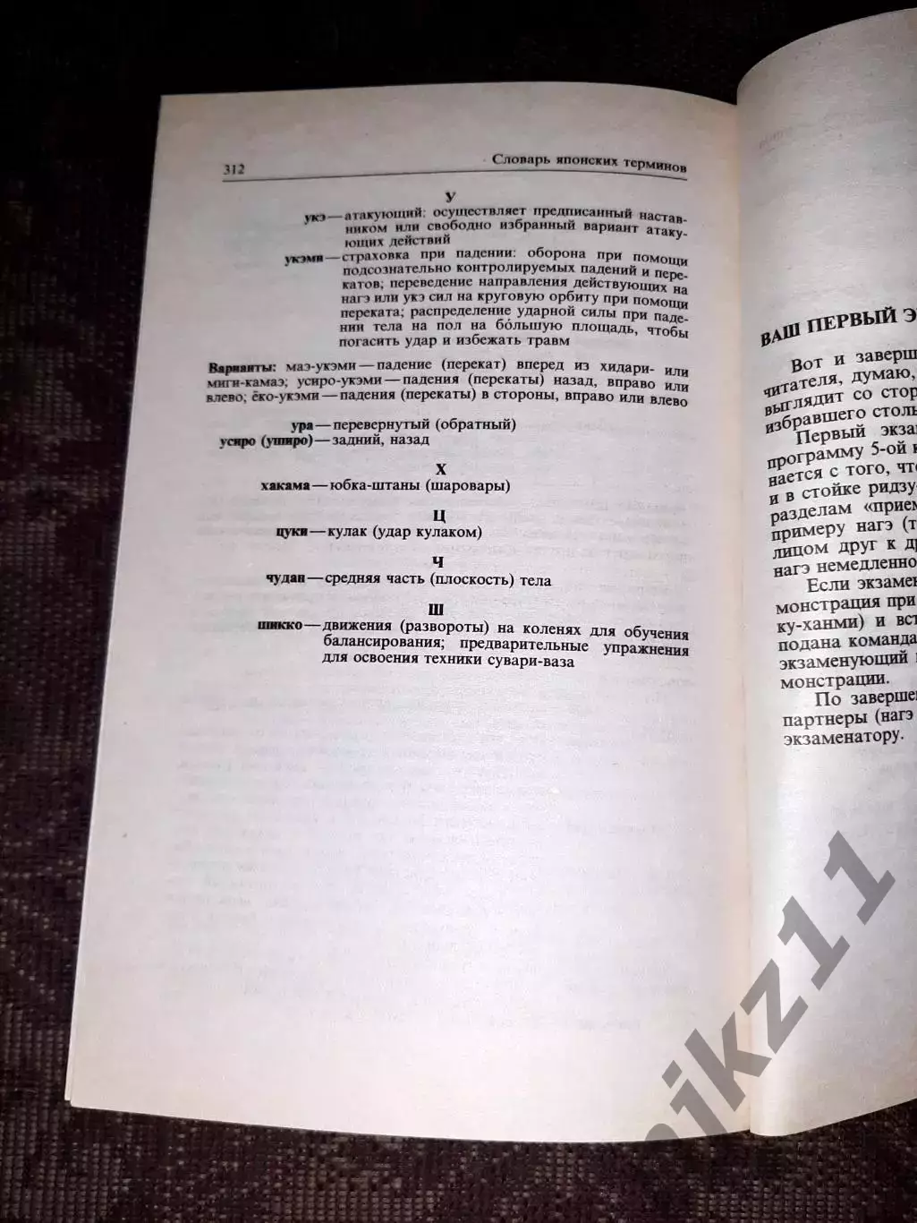 Р. Бранд. Айкидо 5