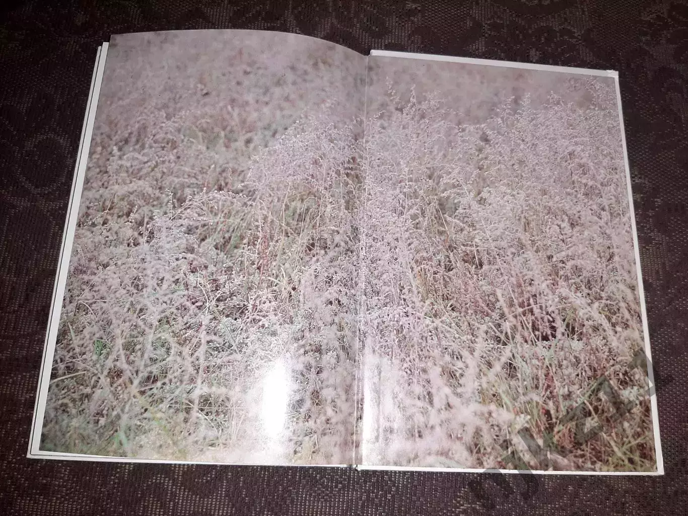 Над Доном рекой Фотоальбом 1983 Планета. Как новый 6