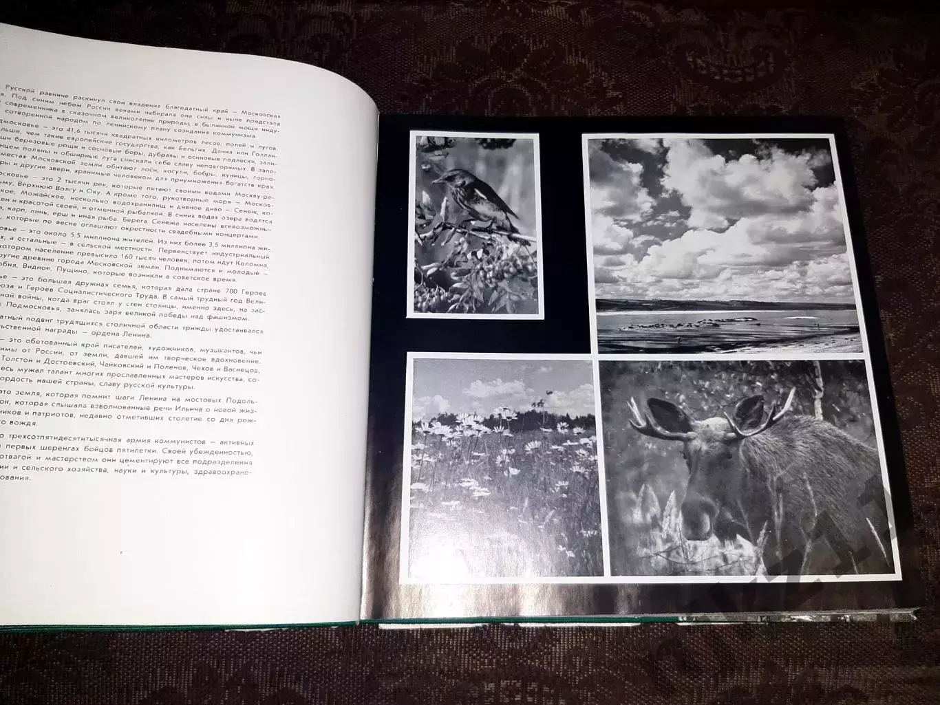 ФОТОАЛЬБОМПОДМОСКОВЬЕ. 1970 Москва 4