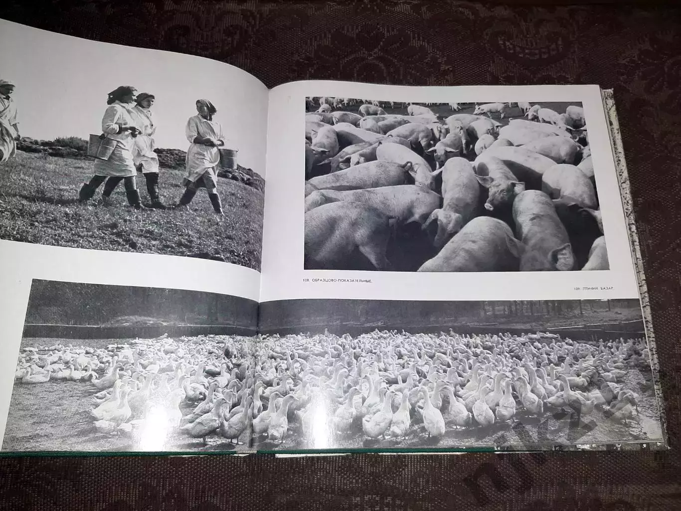 ФОТОАЛЬБОМПОДМОСКОВЬЕ. 1970 Москва 7