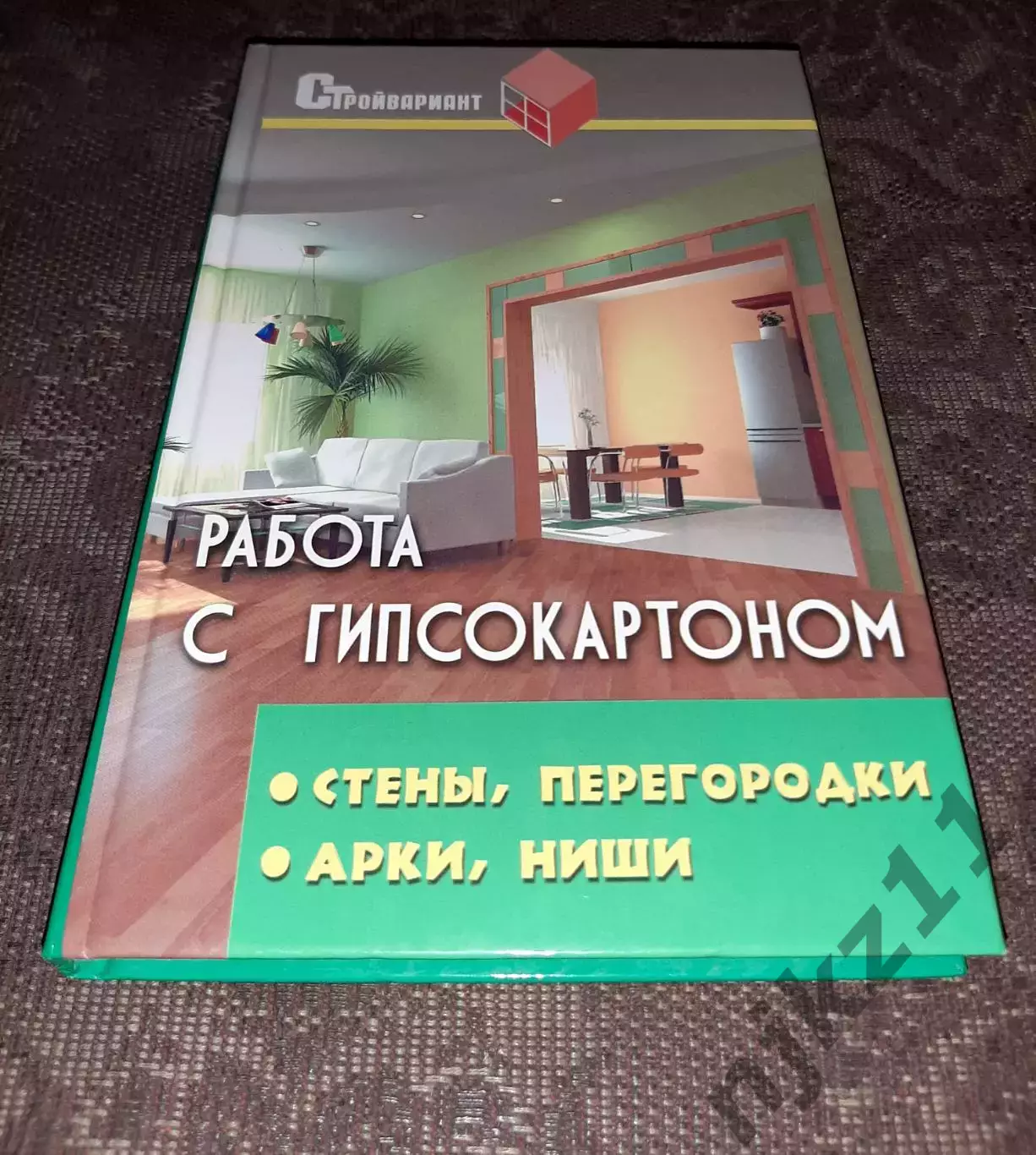 Книга В.И. Руденко Работа с гипсокартоном: стены, перегородки, арки, ниши