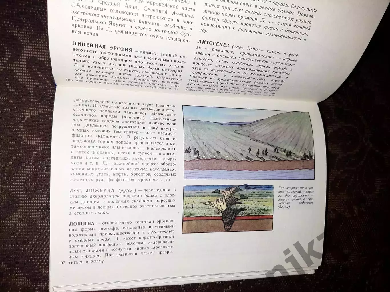 Пармузин Ю.П., Карпов Г.В. Словарь по физической географии 4