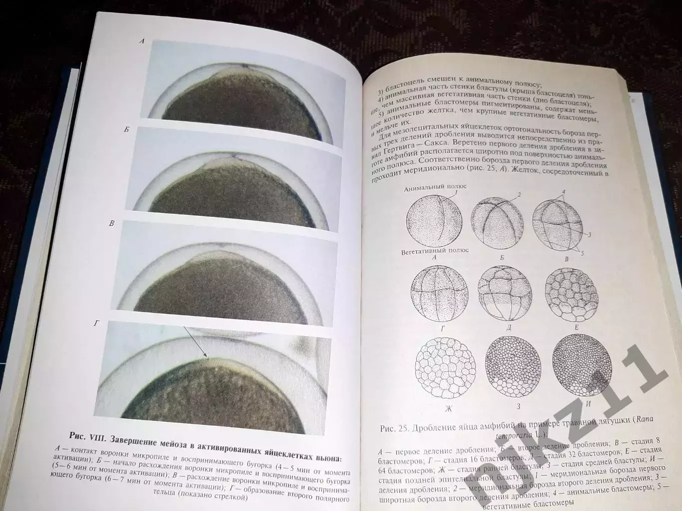 Практикум по эмбриологии. тираж 5000 экз отличное состояние 4