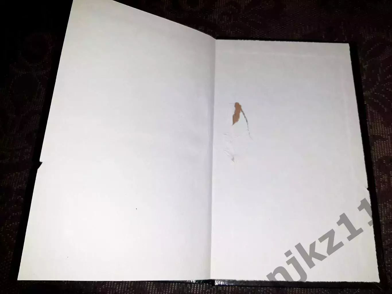 Владимир Иванов - Призрак рейхсляйтера Бормана 6