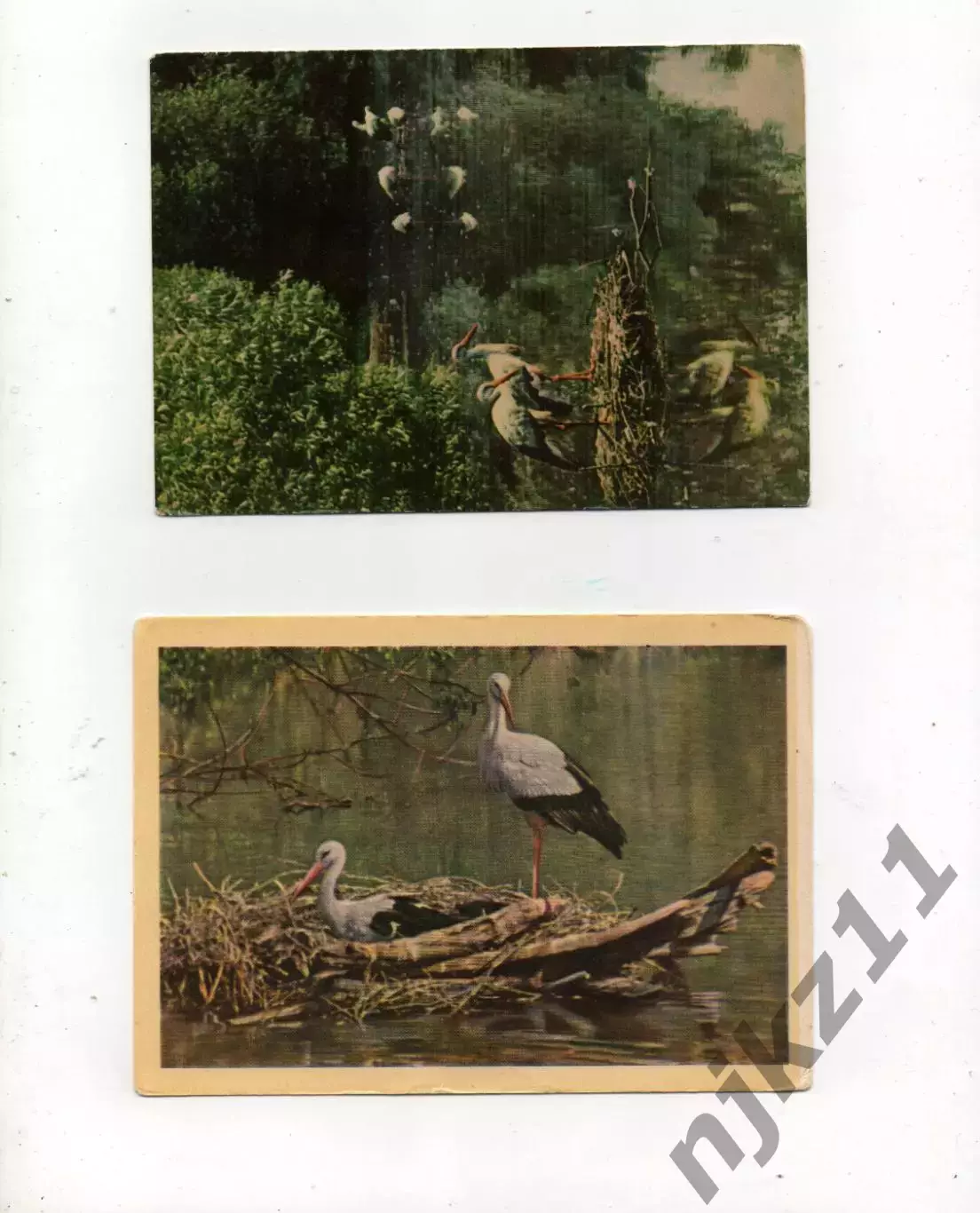 Аисты на двух открытках 1963г и 1964г Чистые