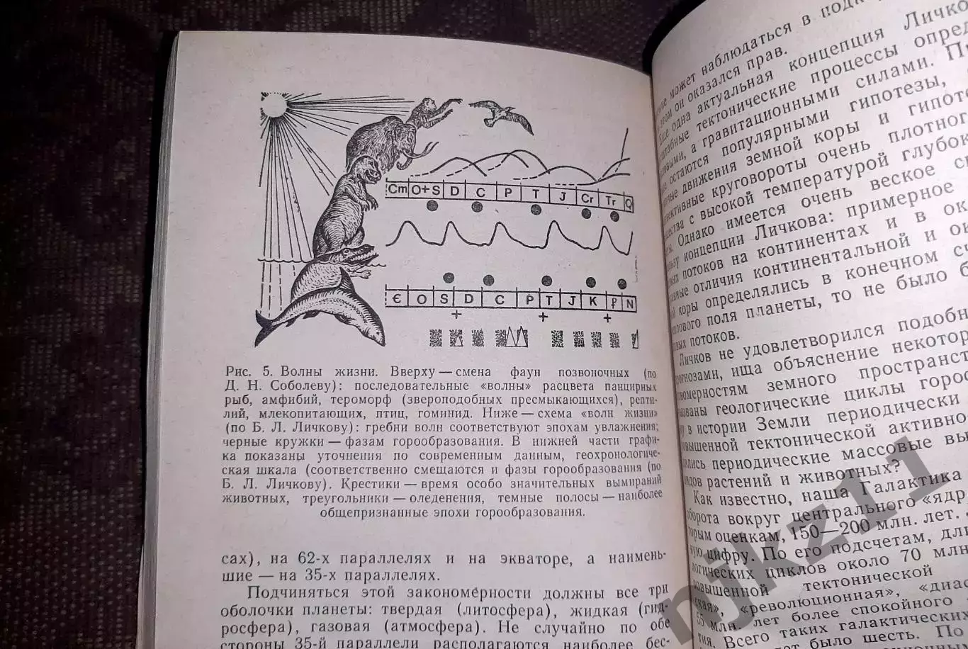 Каменная летопись Земли. Р.К. Баландин 1983 3