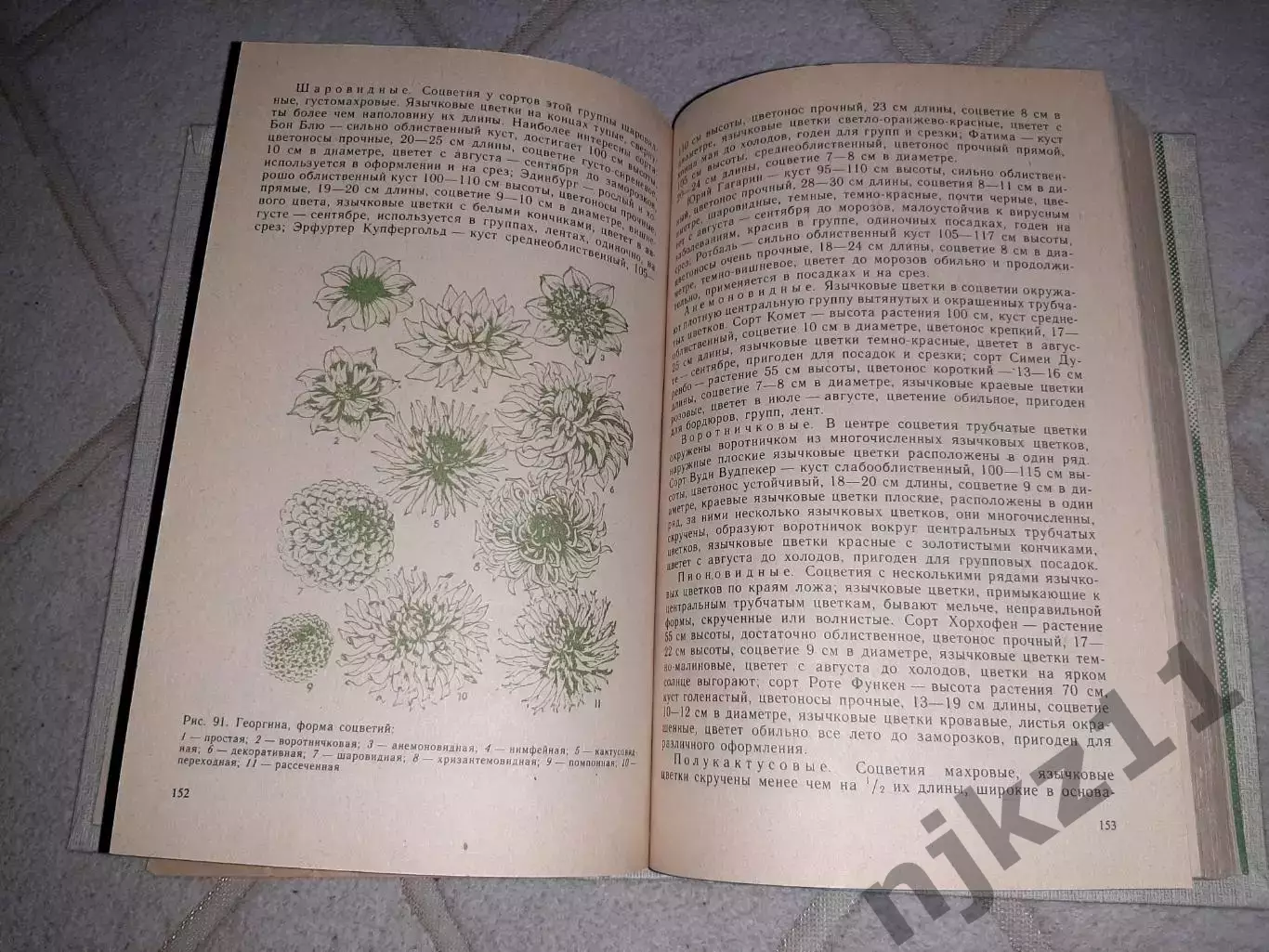 Приусадебное цветоводство, Г. Тавлинова, 1989г. 3