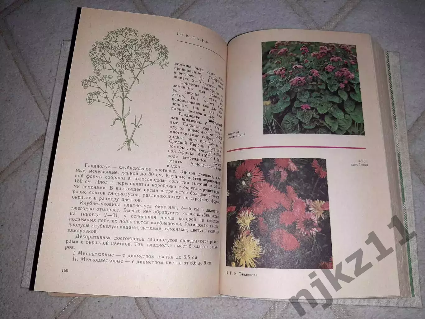 Приусадебное цветоводство, Г. Тавлинова, 1989г. 4