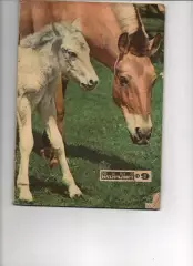 Юный натуралист № 9. 1973г