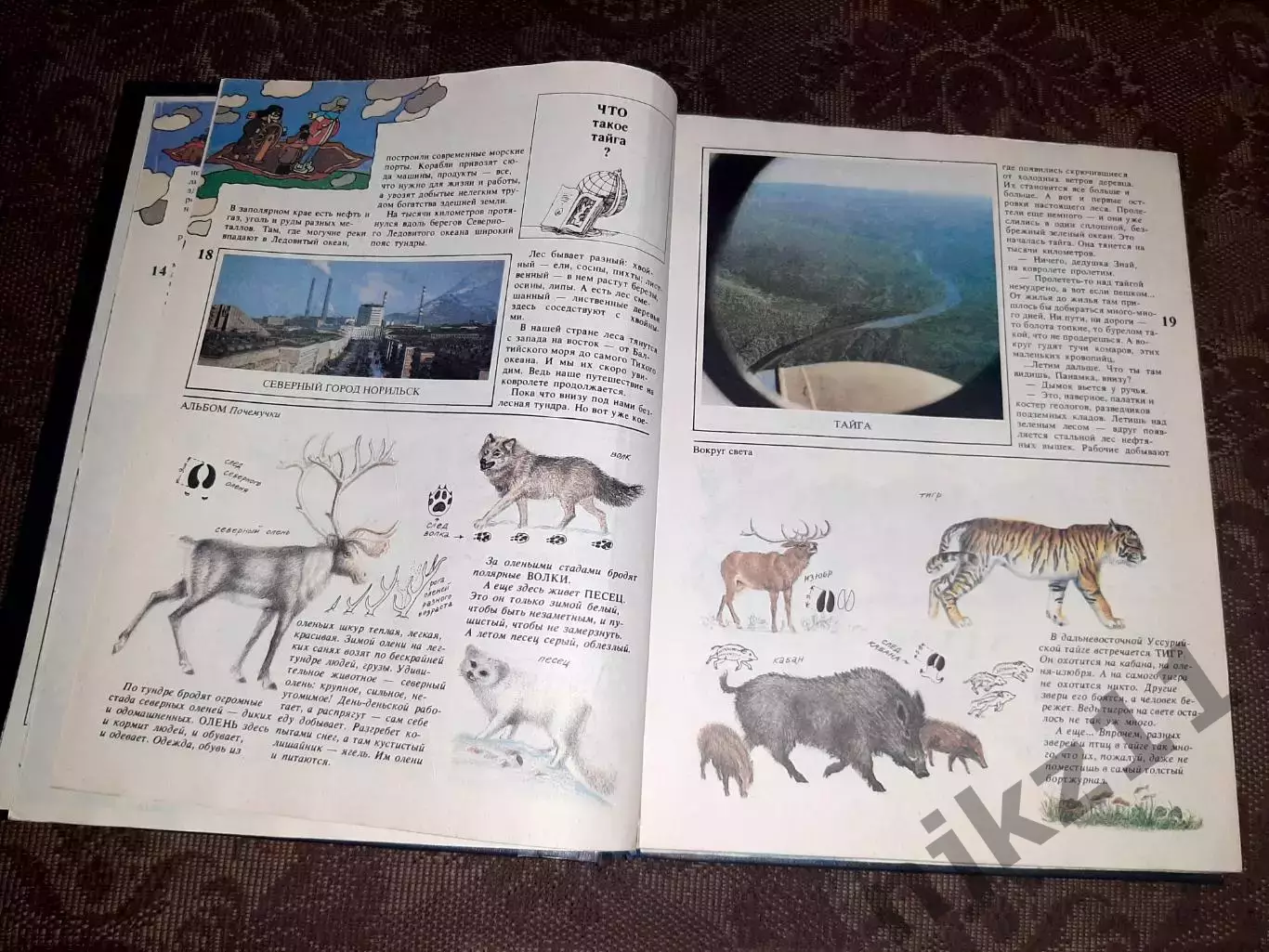 ПОЧЕМУЧКА. Детская энциклопедия обо всем. 1993г (много веселых картинок) 4