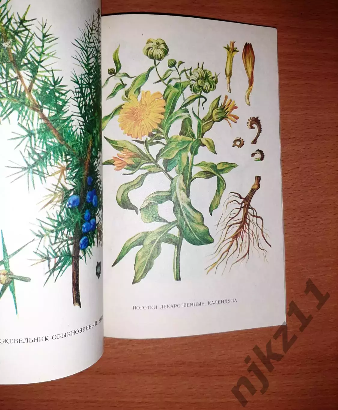 ЛЕКАРСТВЕННЫЕ РАСТЕНИЯ КИРОВСКОЙ ОБЛАСТИ 1984г 3