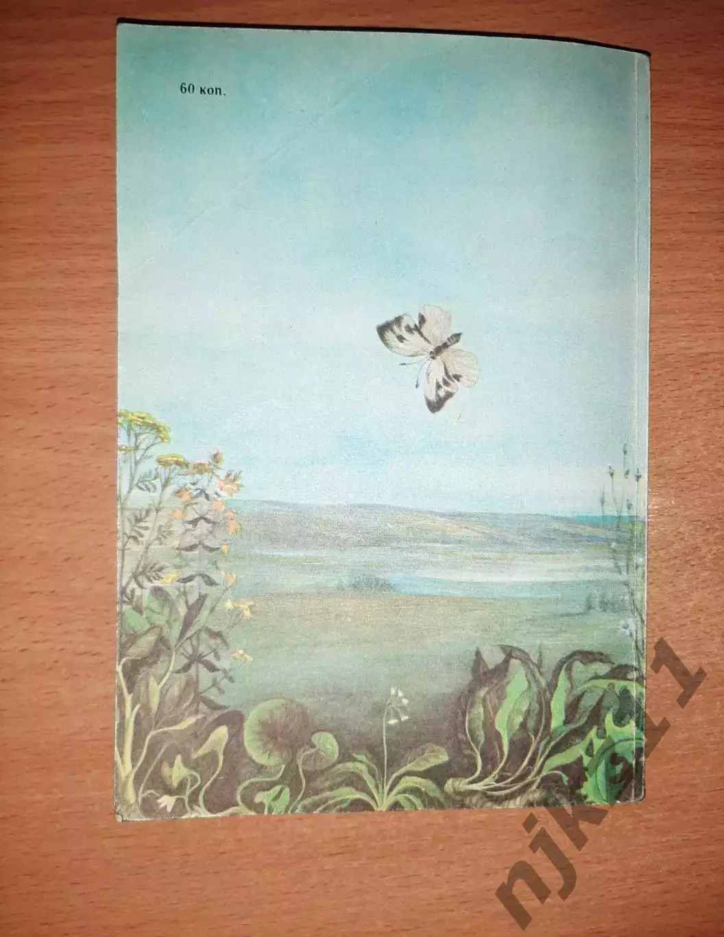 ЛЕКАРСТВЕННЫЕ РАСТЕНИЯ КИРОВСКОЙ ОБЛАСТИ 1984г 6