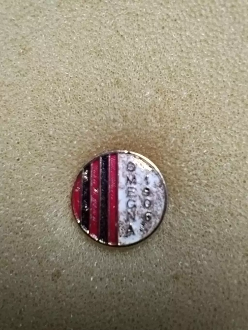 L'A.S.D. Omegna Calcio 1906